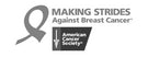 Making Strides Against Breast Cancer logo